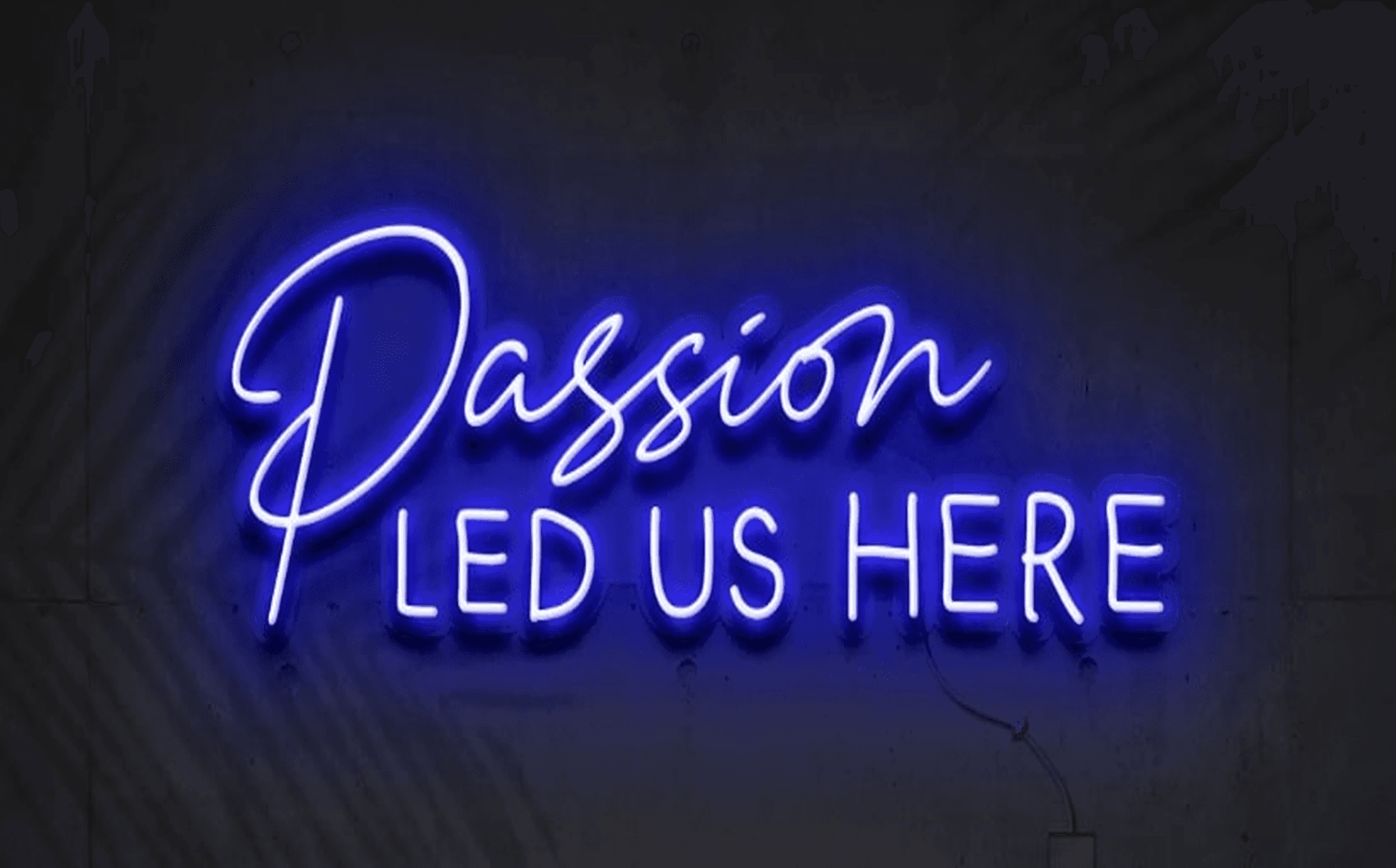 Purple Brains office with 'Passion Led Us Here' neon sign